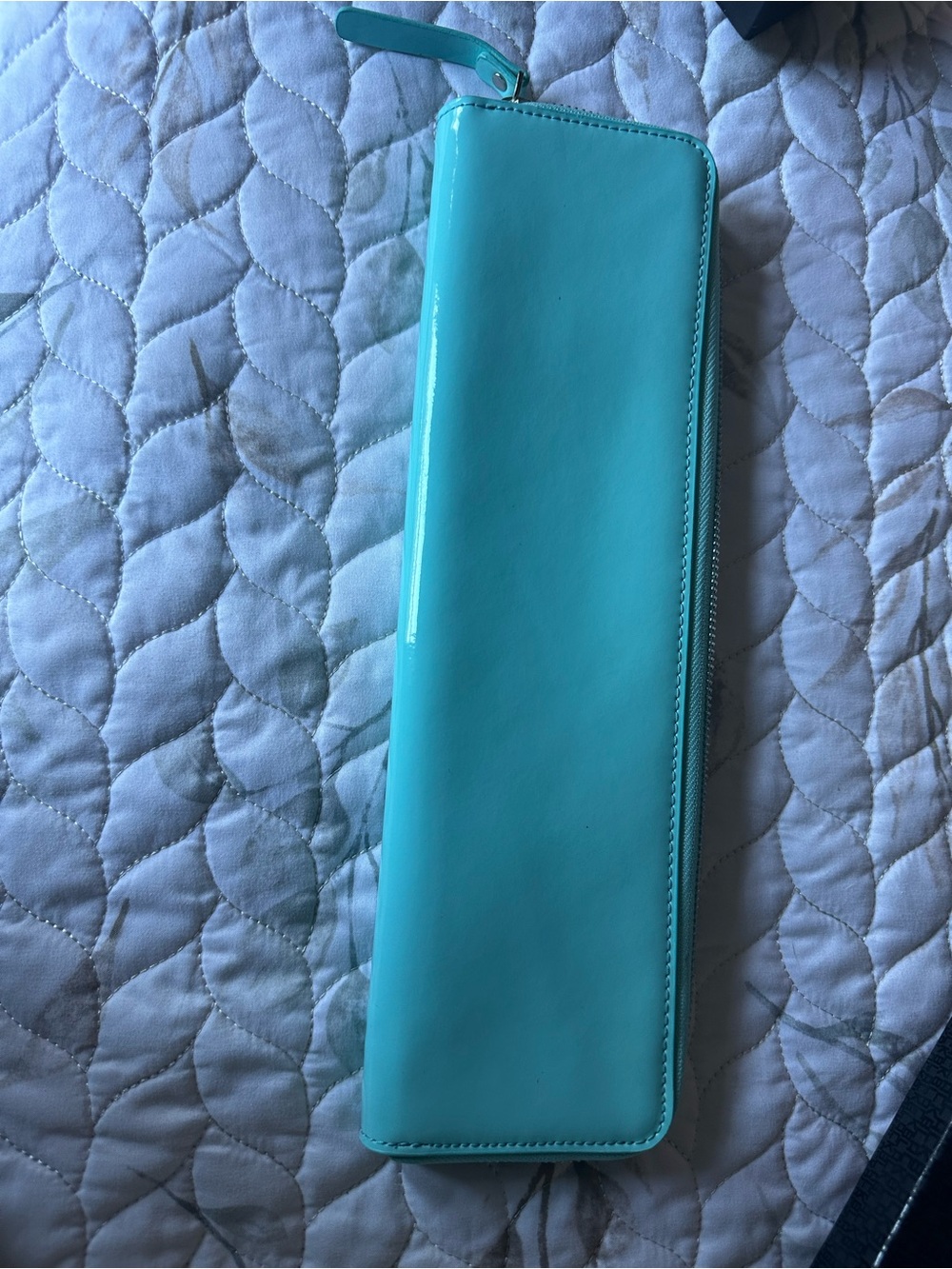Sleek Turquoise Zip Brush/Pencil Case